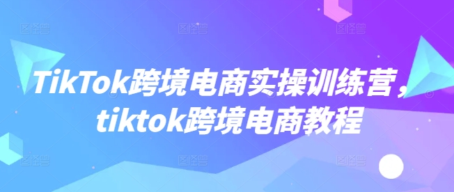 TikTok跨境电商实操训练营，tiktok跨境电商教程-星河轻创