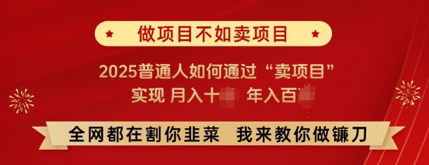 必看，做项目不如卖项目，2025普通人如何通过“卖项目”实现月入十个，年入百个-星河轻创