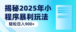 揭秘2025年小程序暴利玩法：轻松日入900+-星河轻创