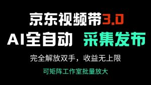 京东视频带货3.0，Ai全自动采集＋自动发布，完全解放双手，收入无上限...-星河轻创