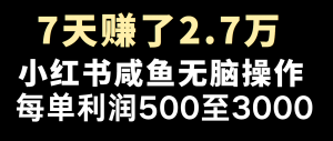 全网首发，7天赚了2.6万，2025利润超级高！-星河轻创