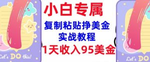 复制粘贴挣美金，0门槛，1天收入95美刀，3分钟学会，内部教程(首次公开)-星河轻创