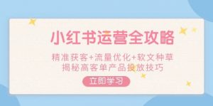 小红书运营全攻略，精准获客+流量优化+软文种草，揭秘高客单产品投放技巧-星河轻创