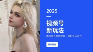 搬运老外奇葩视频，撸视频号分成计划收益，每天只需一小时，新手小白轻松月入过W-星河轻创