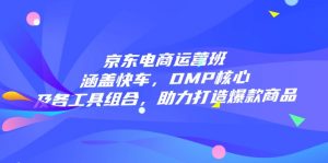 京东电商运营班：涵盖快车，DMP核心及各工具组合，助力打造爆款商品-星河轻创