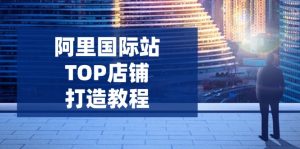 阿里国际站TOP店铺打造教程：涵盖平台到高阶，解决运营难题，提升询盘-星河轻创
