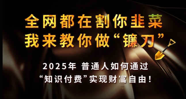全网都在割你韭菜，我来教你做镰刀，2025年普通人如何通过 知识付费 实现财F自由【揭秘】-星河轻创