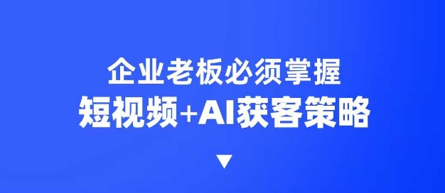 企业短视频AI获客霸屏流量课，6步短视频+AI突围法，3大霸屏抢客策略-星河轻创