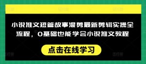 小说推文短篇故事混剪最新剪辑实操全流程，0基础也能学会小说推文教程，肯干多发日入多张-星河轻创