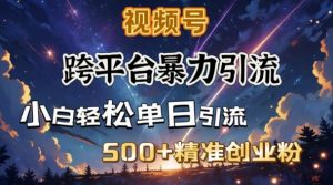 跨平台暴力引流，私域完美闭环，日引500+精准创业粉-星河轻创