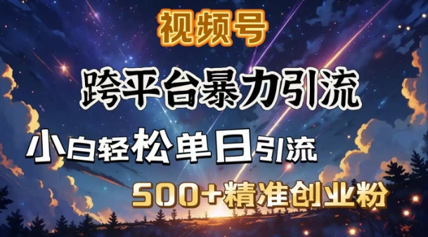 跨平台暴力引流，私域完美闭环，日引500+精准创业粉-星河轻创