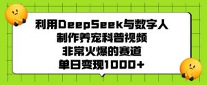 利用DeepSeek与数字人制作养宠科普视频，非常火爆的赛道，单日变现多张-星河轻创