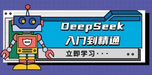 DeepSeek入门到精通，涵盖职场应用及身份扮演，驯服指南及顶级提示词-星河轻创