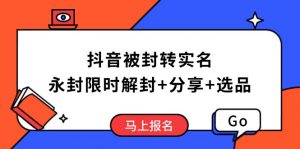 抖音被封转实名攻略，永久封禁也能限时解封，分享解封后高效选品技巧-星河轻创