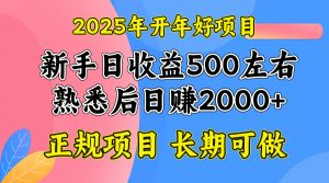 2025开年好项目，单号日收益2000左右-星河轻创