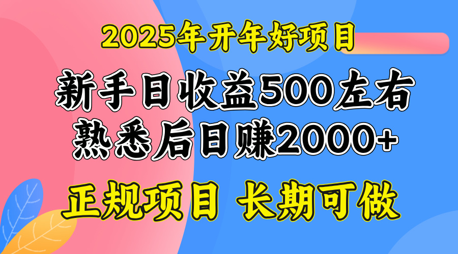 2025开年好项目，单号日收益2000左右-星河轻创