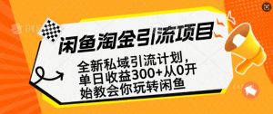 闲鱼淘金私域引流计划，从0开始玩转闲鱼，副业也可以挣到全职的工资-星河轻创