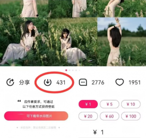 最新图虫搬运项目，收益无上限，利用AI小白也可日赚500+-星河轻创