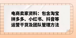 电商卖家资料：包含淘宝、拼多多、小红书、抖音等运营干货及团队管理方法-星河轻创
