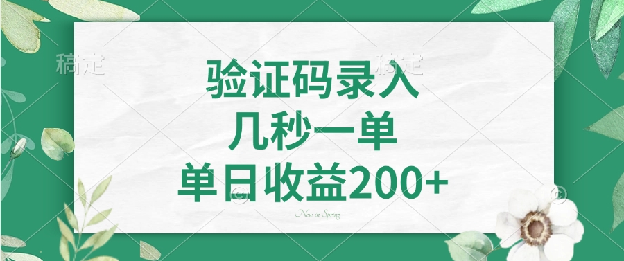 验证码录入，几秒一单，单日收益200+-星河轻创