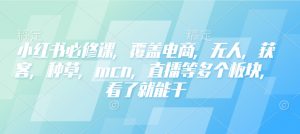 小红书必修课，覆盖电商，无人，获客，种草，mcn，直播等多个板块，看了就能干-星河轻创