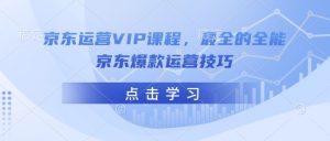 京东运营VIP课程，最全的全能京东爆款运营技巧-星河轻创