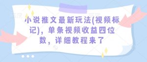 小说推文最新玩法(视频标记)，单条视频收益四位数，详细教程来了-星河轻创