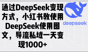 通过DeepSeek变现方式，小红书教使用DeepSeek图文，导流私域一天变现1000+-星河轻创