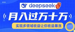 用DeepSeek席卷各大平台，快速上手实现多领域，让你收入猛增-星河轻创