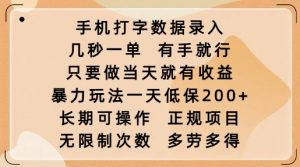 手机打字数据录入，几秒一单，有手就行，只要做当天就有收益，暴力玩法一天低保2张-星河轻创