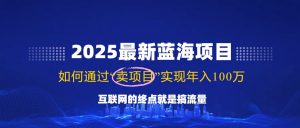 2025最新蓝海项目，零门槛轻松复制，月入10万+，新手也能操作！-星河轻创
