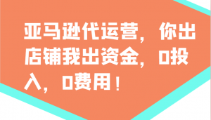 亚马逊代运营，你出店铺我出资金，0投入，0费用，无责任每天300分红，赢亏我承担-星河轻创