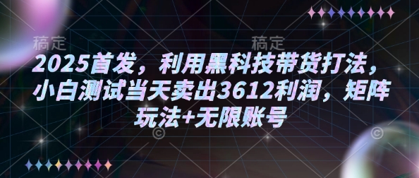 2025首发，利用黑科技带货打法，小白测试当天卖出3612利润，矩阵玩法+无限账号【揭秘】-星河轻创