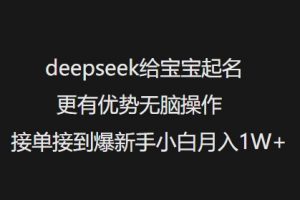 deepseek给宝宝起名更有优势无脑操作接单接到爆新手小白月入1W+-星河轻创
