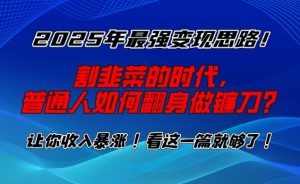 2025年最强变现思路，割韭菜的时代， 普通人如何翻身做镰刀？【揭秘】-星河轻创