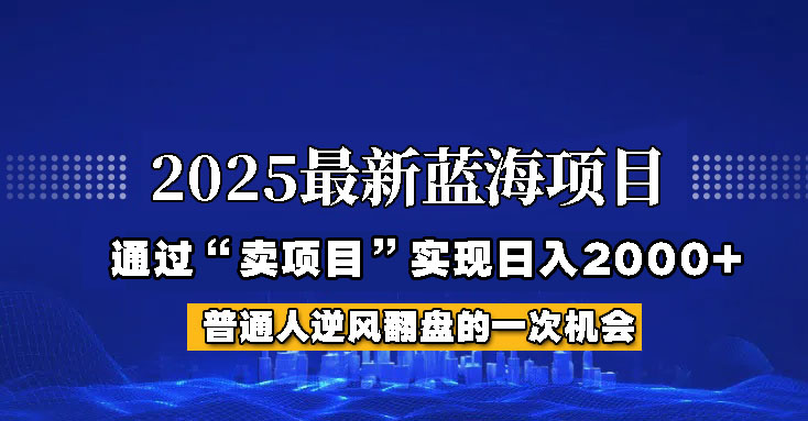 2025年蓝海项目，如何通过“网创项目”日入2000+-星河轻创