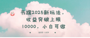 书旗2025新玩法，收益突破上限10000，小白可做-星河轻创
