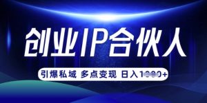 云帆·创业ip合伙人打造3.0，从0到1教你做网创，实现月入过W-星河轻创