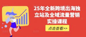 25年全新跨境出海独立站及全域流量营销实操课程，跨境电商独立站TIKTOK全域营销普货特货玩法大全-星河轻创