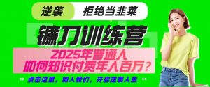 镰刀训练营超级IP合伙人，25年普通人如何通过“知识付费”实现逆袭-星河轻创