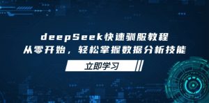 deepSeek快速驯服教程，从零开始，轻松掌握数据分析技能-星河轻创