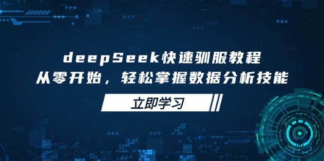 deepSeek快速驯服教程，从零开始，轻松掌握数据分析技能-星河轻创