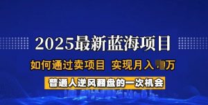 2025蓝海项目，普通人如何通过卖项目，实现月入过W，全过程【揭秘】-星河轻创