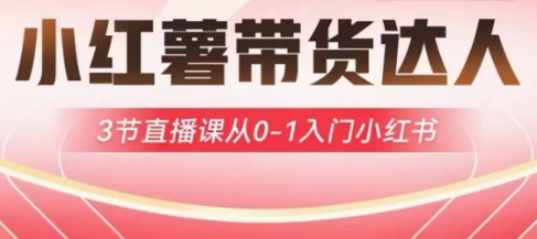 小红薯达人带货启航计划，3节直播课从0-1入门小红书-星河轻创