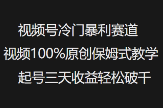 视频号冷门暴利赛道视频100%原创保姆式教学起号三天收益轻松破千-星河轻创