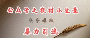 deepseek写农村小项目，条条爆款，暴力引流-星河轻创