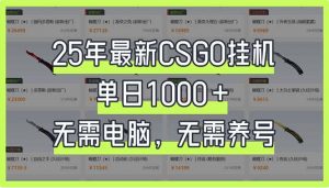 25年最新CSGO挂机系统，单日1000+，无需电脑，无需养号，0基础可上手-星河轻创