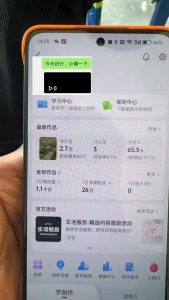 抖音暴力涨粉技术：一天轻松1-10万粉，技术不确定真实性，自测-星河轻创