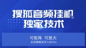 【搜狐音频挂G】独家技术，可矩阵可放大，红利期稳定月入8k【揭秘】-星河轻创