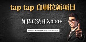taptap拉新自刷项目，一个新用户14元，矩阵玩法日入300+-星河轻创